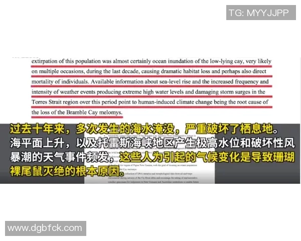 全球气候变化加剧各地极端天气事件 专家呼吁加强国际合作应对危机
