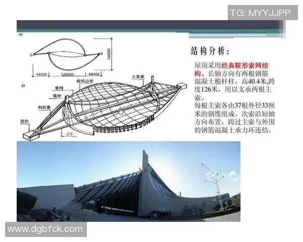 东京体育馆周边文化与体育设施发展现状及未来规划分析